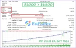 Pip Club EA Backtest