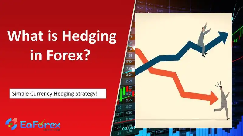 What is Forex Hedging