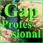 Gap Professional EA