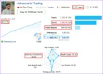 Advanced Hedge MT4 Results