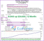 Gold Trend Scalping MT4 Backtests