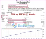 Wolf Forex Signal EA Backtest