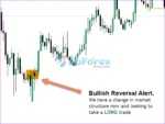 Market Reversal Alerts Review