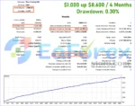 Royal Hedge Fund EA Backtest