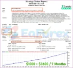 Semi HFT EA MT4 Backtest