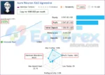 Aura Neuron EA Live Signal Results