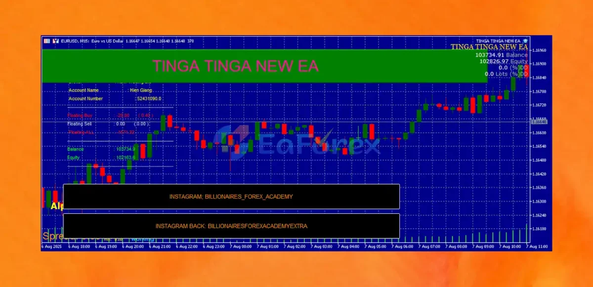 TINGA TINGA EA MT5 Overview