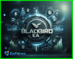 Black Bird EA