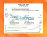 Connect EA Backtests Results