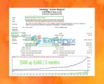 Connect EA Backtests Trading Results