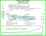 Connect EA Backtests Trading Results