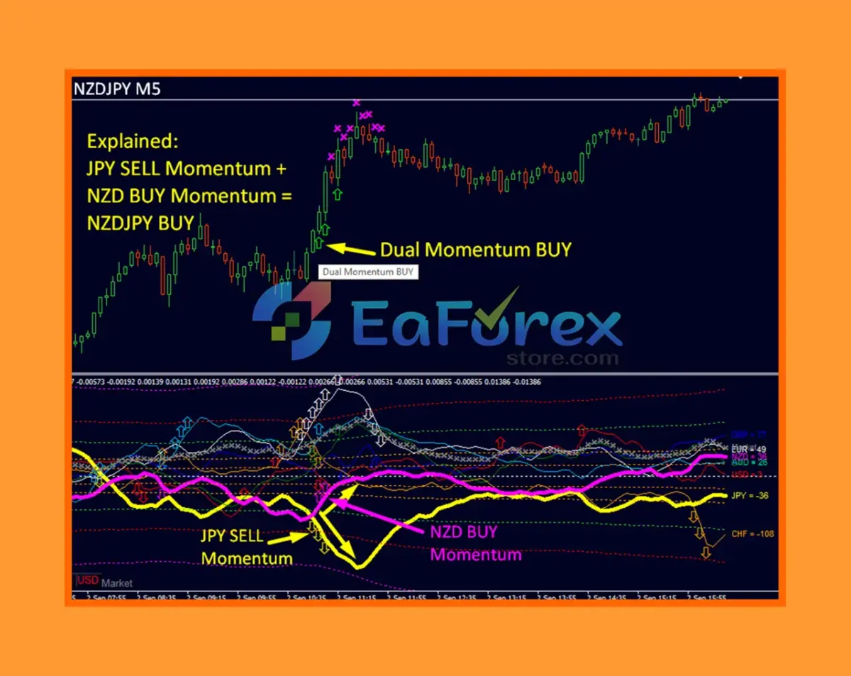 Dynamic Forex28 Navigator MT4 Review