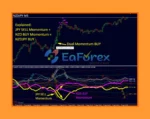 Dynamic Forex28 Navigator MT4 Review