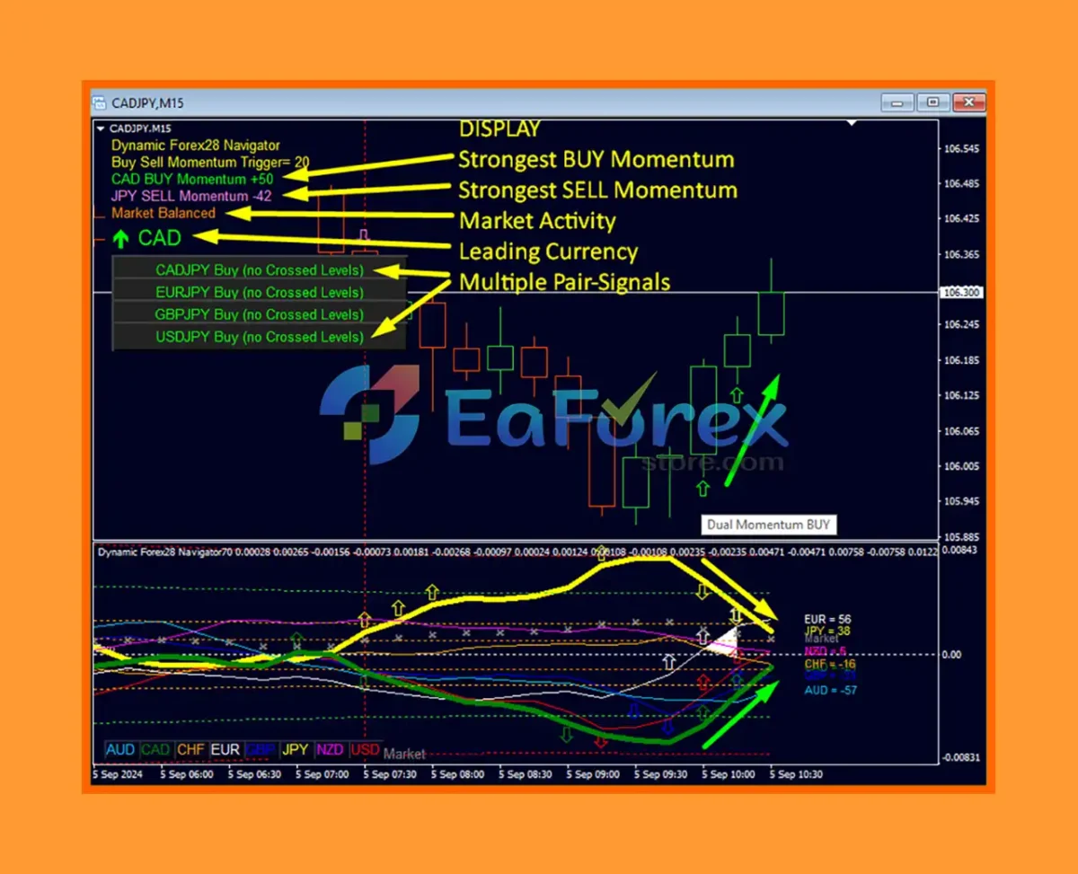 Dynamic Forex28 Navigator MT4 Reviews