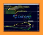 Dynamic Forex28 Navigator MT4 Reviews
