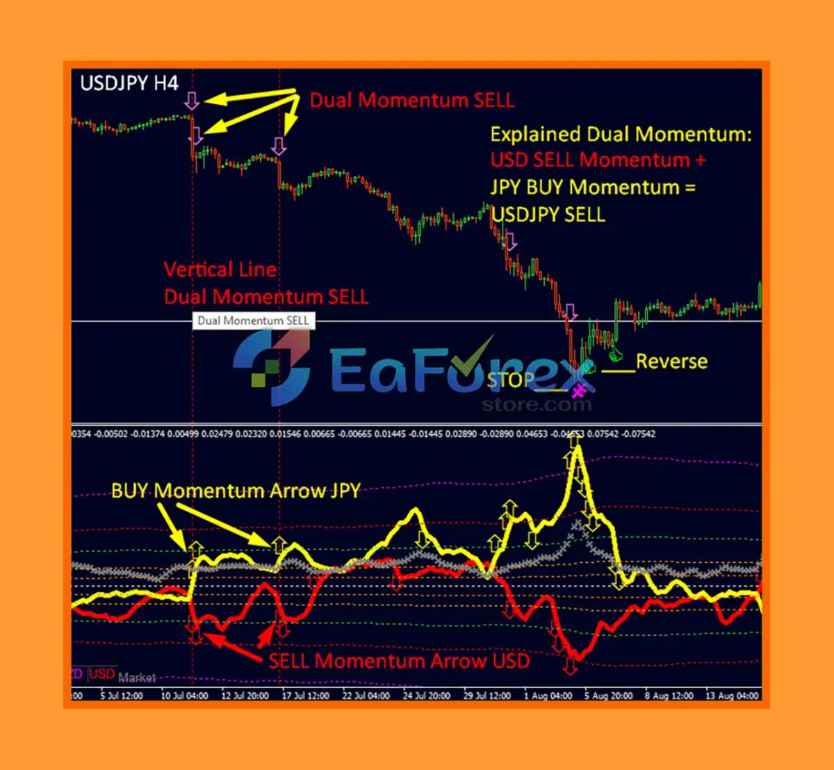 Dynamic Forex28 Navigator Revie