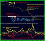 Dynamic Forex28 Navigator Revie