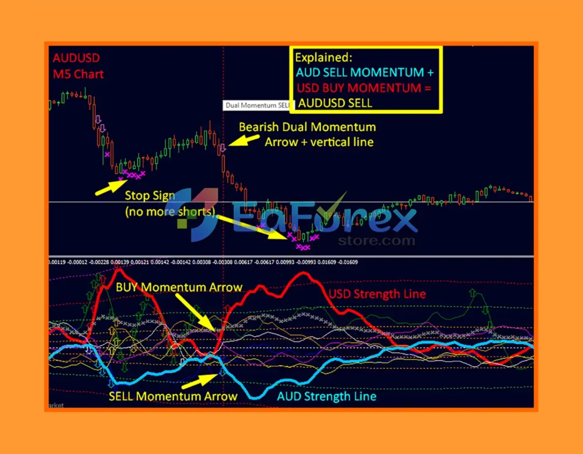 Dynamic Forex28 Navigator Review