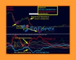 Dynamic Forex28 Navigator Review