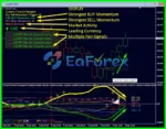 Dynamic Forex28 Navigator Review