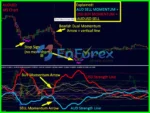 Dynamic Forex28 Navigator Reviews