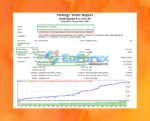 Gold Special EA Backtests Results