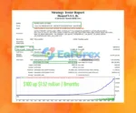HamzaFX EA Backtest Results