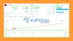 Hedge Risk Ratio EA Live Trading