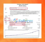 Hercules Gold MT4 Backtest
