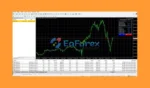 IS VIP BTC EA Review