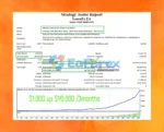 LearnFx EA Backtest