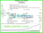 LearnFx MT4 Backtest