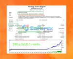 Lorenza EA MT4 Backtest Trading Results
