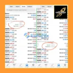 Marussia Pro EA MT4 Results