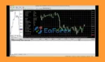 Milli EA MT5 review