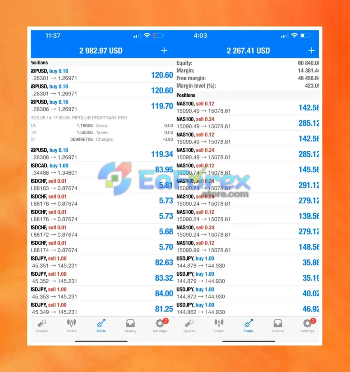 Pip Club Profit Max Pro EA MT4 Results