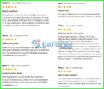 Pip Club Profit Max Pro EA MT5 Review