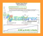 RM-SCALPER EA MT4 Backtest