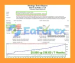 RM-SCALPER MT4 Backtest