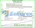 RM-SCALPER-MT4-Backtest