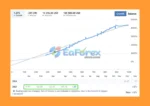 Rofiknur EA Live Trading Results