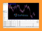 Stargogs Pay EA Review