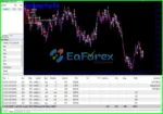 Stargogs Pay EA Review
