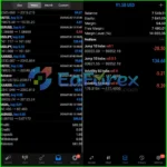 Trend Perceptron Robot MT5 Live Trading Reuslts