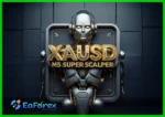XAUUSD M5 SUPER SCALPER ROBOT MT4