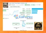 Apex Gold Trend Matrix MT4 Live Signal Results