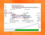 Bird EA MT4 + Setfiles (Official version 1441+)