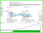 Bird EA MT4 + Setfiles (Official version 1441+)