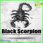 Black Scorpion EA