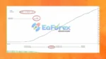 BreakTrue AI MT4 Backtest Trading Results